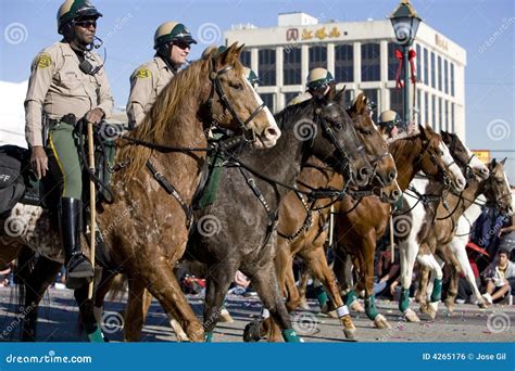 Chinese New Year Parade Mounted Police Editorial Photo - Image of ...