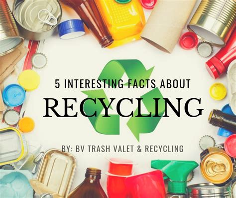 5 Interesting Facts About Recycling - BV Trash Valet & Recycling