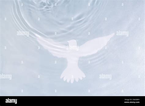 Silhouette of white dove on water background. Baptism symbol Stock ...