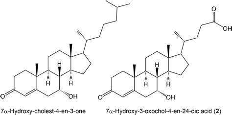 7α-Hydroxy-cholest-4-en-3-one formed from 7α-hydroxycholesterol in the ...