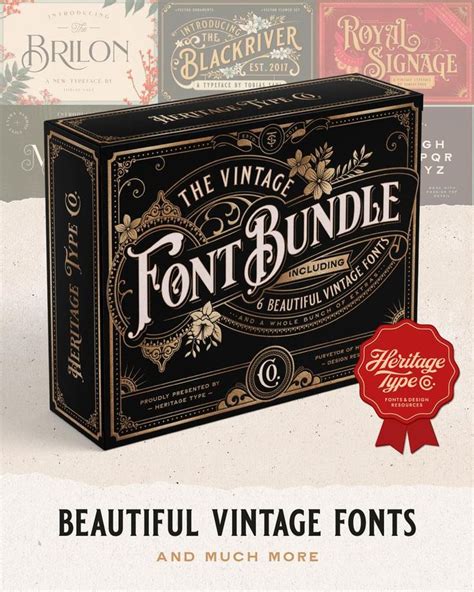 Vintage Font Bundle | Vintage fonts, Font bundles, Logo design creative