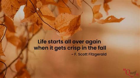 35+ Best Fall Quotes & Sayings About Autumn Season