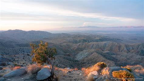 Visiting Keys View Joshua Tree (2023) | The Whole World Is A Playground