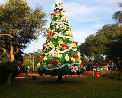 Christmas in Argentina: How Do Argentines Celebrate It? - Malevus