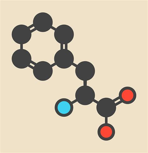 Phenylalanine Amino Acid Molecule Photograph by Molekuul - Fine Art America