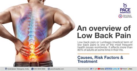 An overview of Low Back Pain | Causes, Risk Factors and Treatment