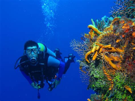 Bali Scuba Diving - Best Diving Spot in Bali - Amed Diving Spot