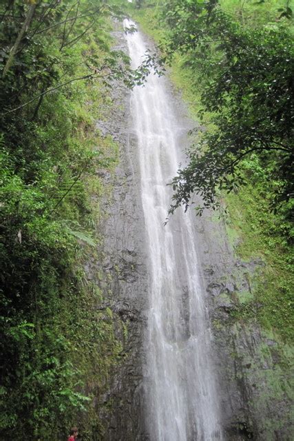 Manoa Falls, Oahu, Hawaii