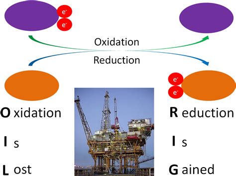 9.11 Free Radicals & Oxidative Stress | Nutrition