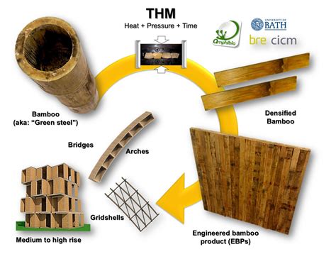 Bamboo Flooring Manufacturing Process – Flooring Site