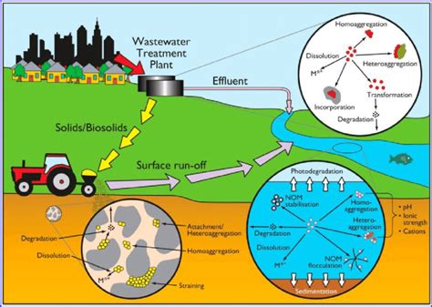 Pathways and transformations of nanomaterials in the environment ...