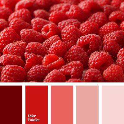 dark-red color | Page 3 of 5 | Color Palette Ideas