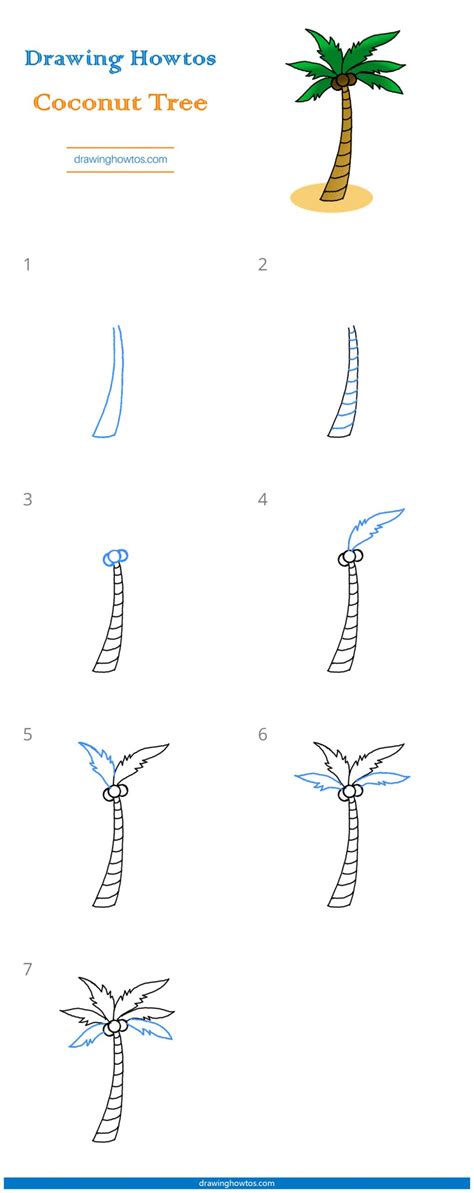 How to Draw a Coconut Tree - Step by Step Easy Drawing Guides - Drawing ...