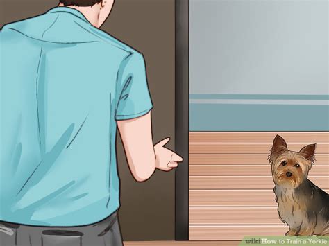 How to Train a Yorkie (with Pictures) - wikiHow