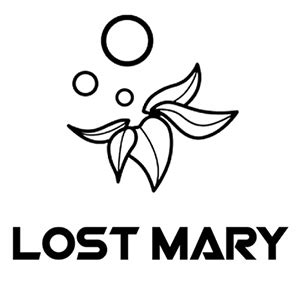 Lost Mary BM600 2% | Vape Voore.ro