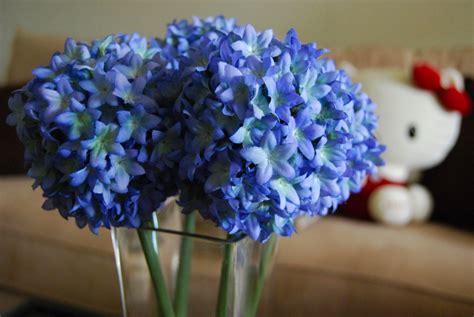 File:Blue flowers in glass vase, Hello Kitty on couch in background.jpg - Wikimedia Commons