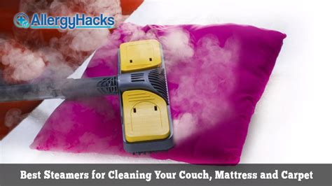 5 Best Steam Cleaners for Bed Bugs and Dust Mites on The Market