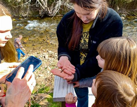 Laurel Watershed Premier BioBlitz, Laurel Community Center, Marshall, 8 ...