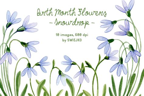 Snowdrop, Birth Month Flower, January Graphic by swiejko · Creative Fabrica