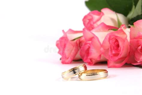 Wedding rings and roses stock image. Image of precious - 2965449