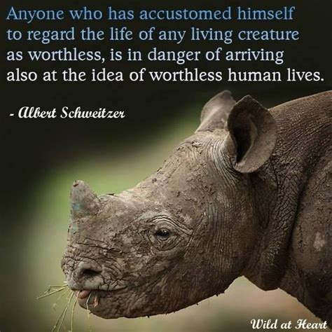 Albert Schweitzer Quotes Animals. QuotesGram