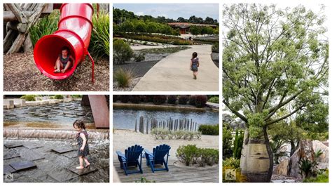 australian garden, royal botanic gardens, cranbourne — mamma knows south