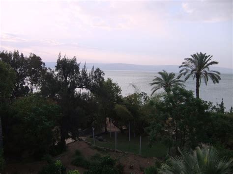 Peter's pilgrimage: Galilee of the Gentiles