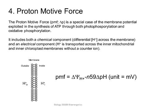 SOLVED: Proton Motive Force The Proton Motive Force (pmf; Î”p) is a special case of the membrane ...