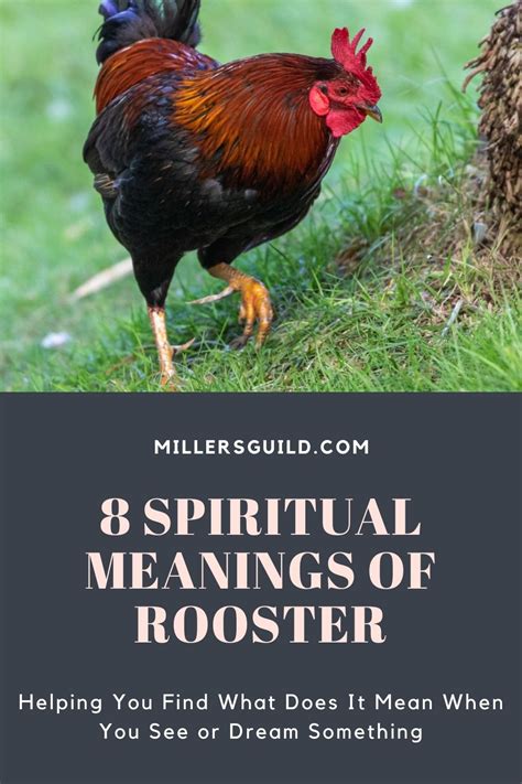 8 Spiritual Meanings of Rooster