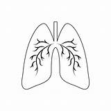 Human Lungs Coloring Pages sketch template