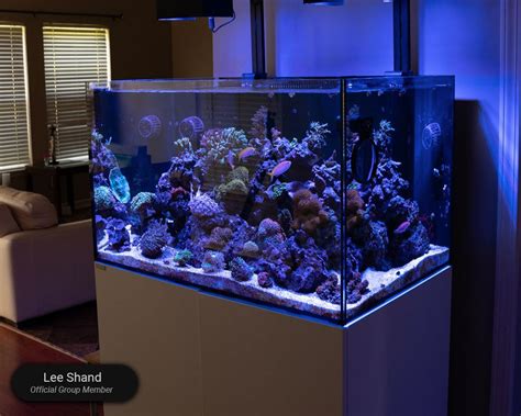 Waterbox Aquariums REEF