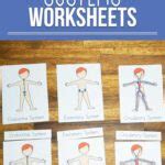 Human Body Systems Worksheets for Kids