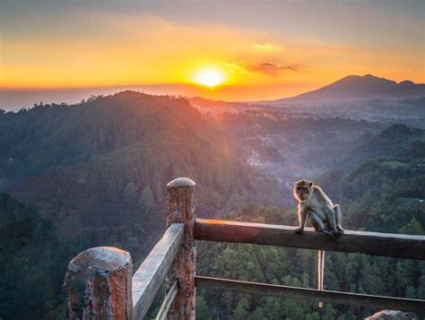 Intip Keindahan Tebing Keraton, Wisata Instagramable Berselimut Kabut di Bandung : Okezone Travel