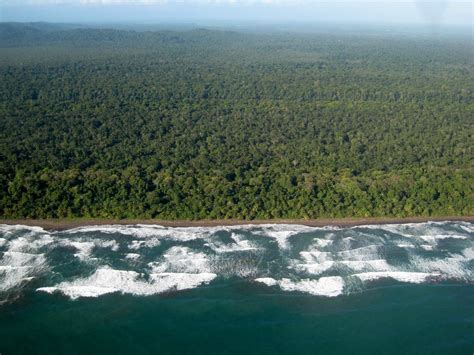 Tortuguero National Park Photos