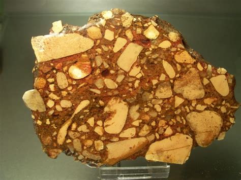 Clastic Sedimentary Rocks