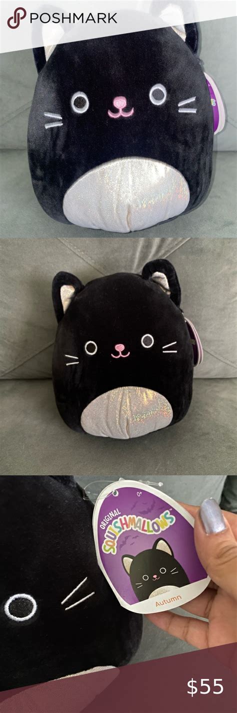 Squishmallow Halloween Autumn the Black Cat 8" | Black cat, Halloween, Cats