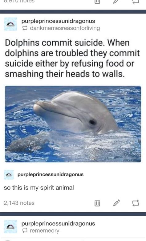 Cursed_Dolphin : cursedcomments