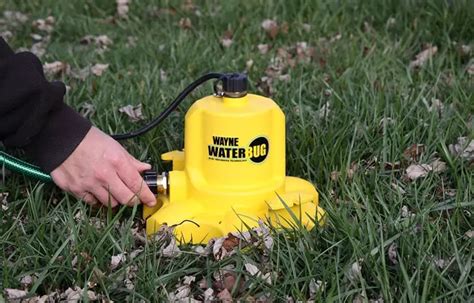 Wayne Waterbug Pump Review – New Edition - plumbingpoints