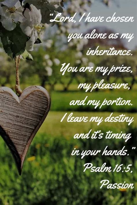 My Prize and My Pleasure – Psalm 16 (Praying The Psalms)