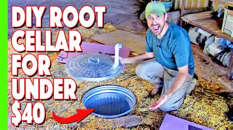 How to build a root cellar