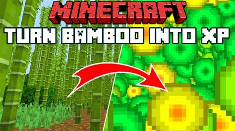 Minecraft 1.14: Making An XP Farm With Bamboo! - YouTube