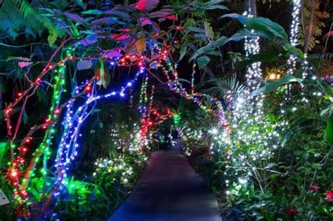 [2023] 40+ Best Christmas Lights in San Diego With Map - SoCal Field Trips