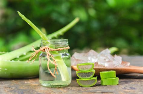 Aloe Vera Hair Oil