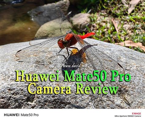 Huawei Mate 50 Pro Macro Camera Review in Malaysia - David Explores