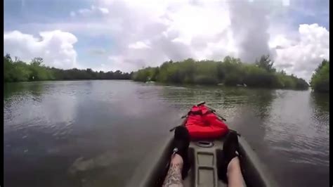 Kayaking with manatees at Manatee Cove Park and Indian River. - YouTube