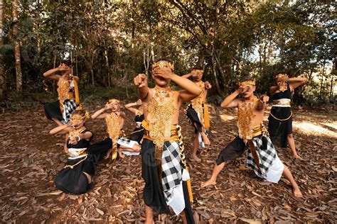 Balinese dancers with golden costumes and stripped pants dance together with the dead brown ...