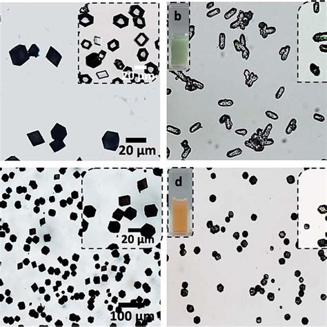 Optical images of pure vaterite (a), BSA nanogel/vaterite (b) and... | Download Scientific Diagram