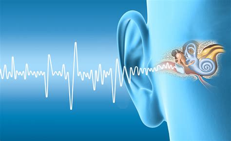 True Hearing Audiology | Types of Hearing Loss