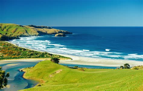 10 Beaches You Have To Visit In New Zealand - Hand Luggage Only ...