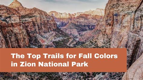 The Top Trails for Fall Colors in Zion National Park